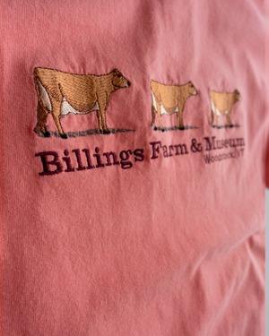【古着】"Billings Farm & Museum" ジャージー牛3頭　刺繍 Tシャツ
