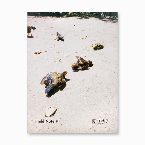 Field Note #1