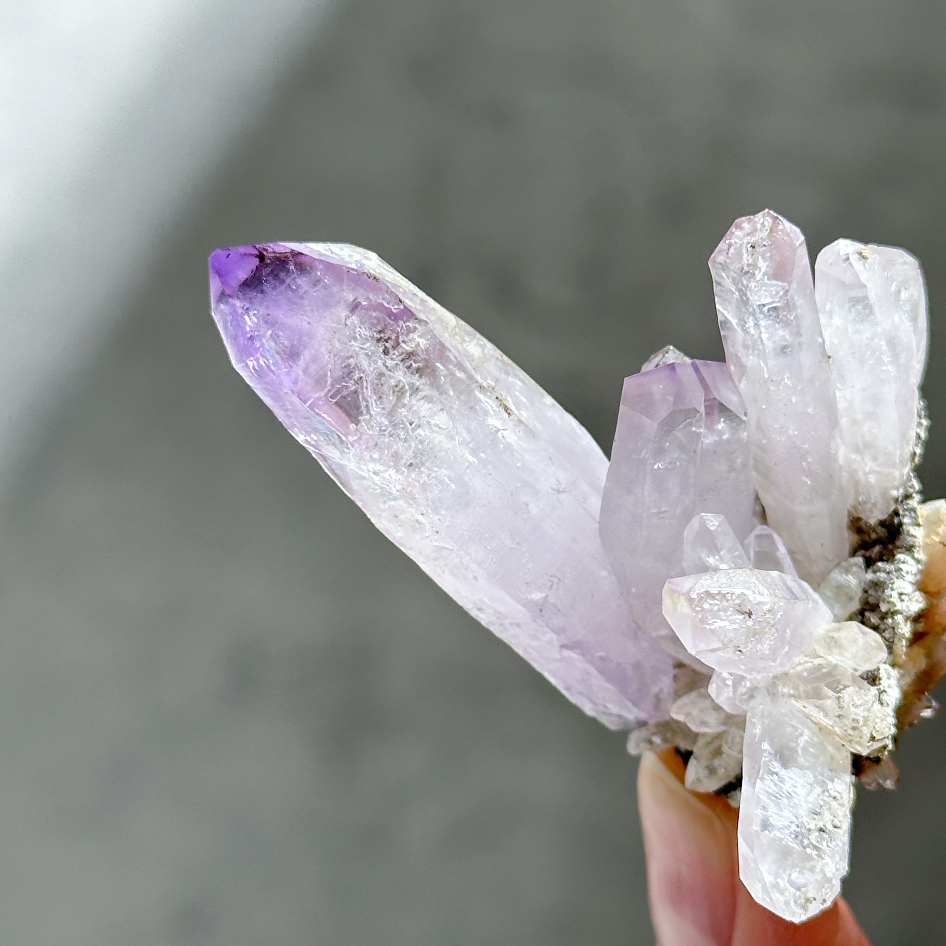 ベラ クルス アメジスト アメジスト ベラクルスアメジスト | Kamoku［カモク］インテリア