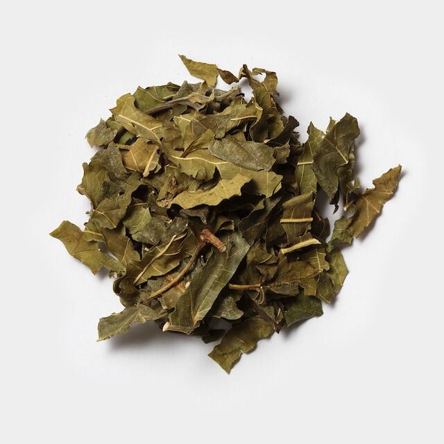 シングルハーブ クワノハ(レギュラー50g)