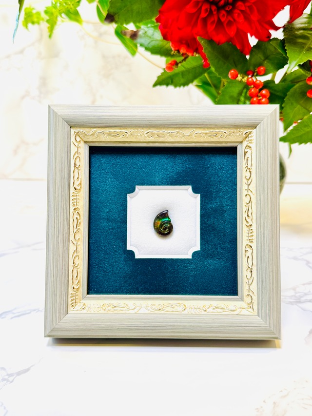 Gem Frame：アンモライト・アンモナイト　G161