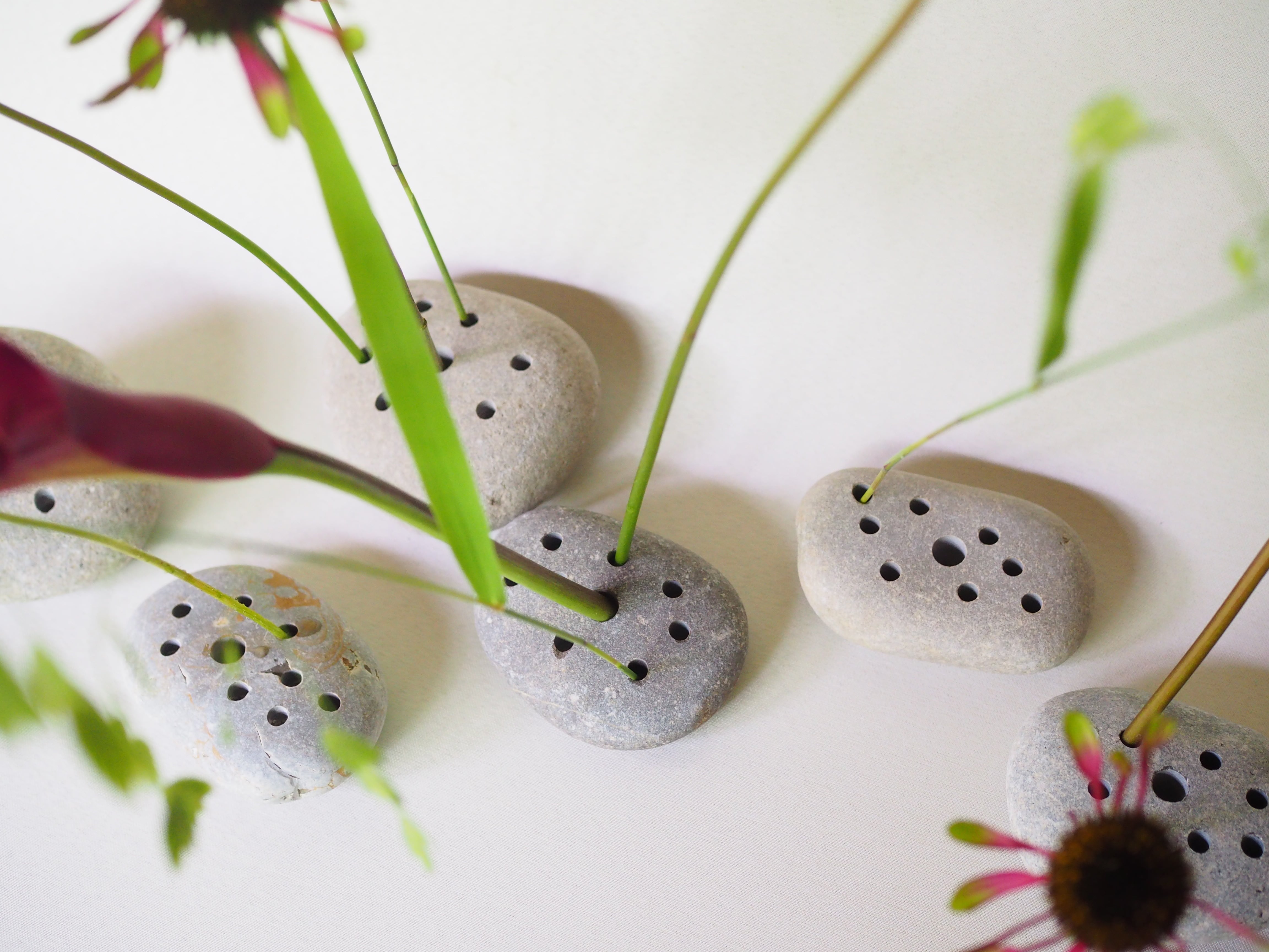 FROG STONE(石の剣山) | 花屋ぼたん