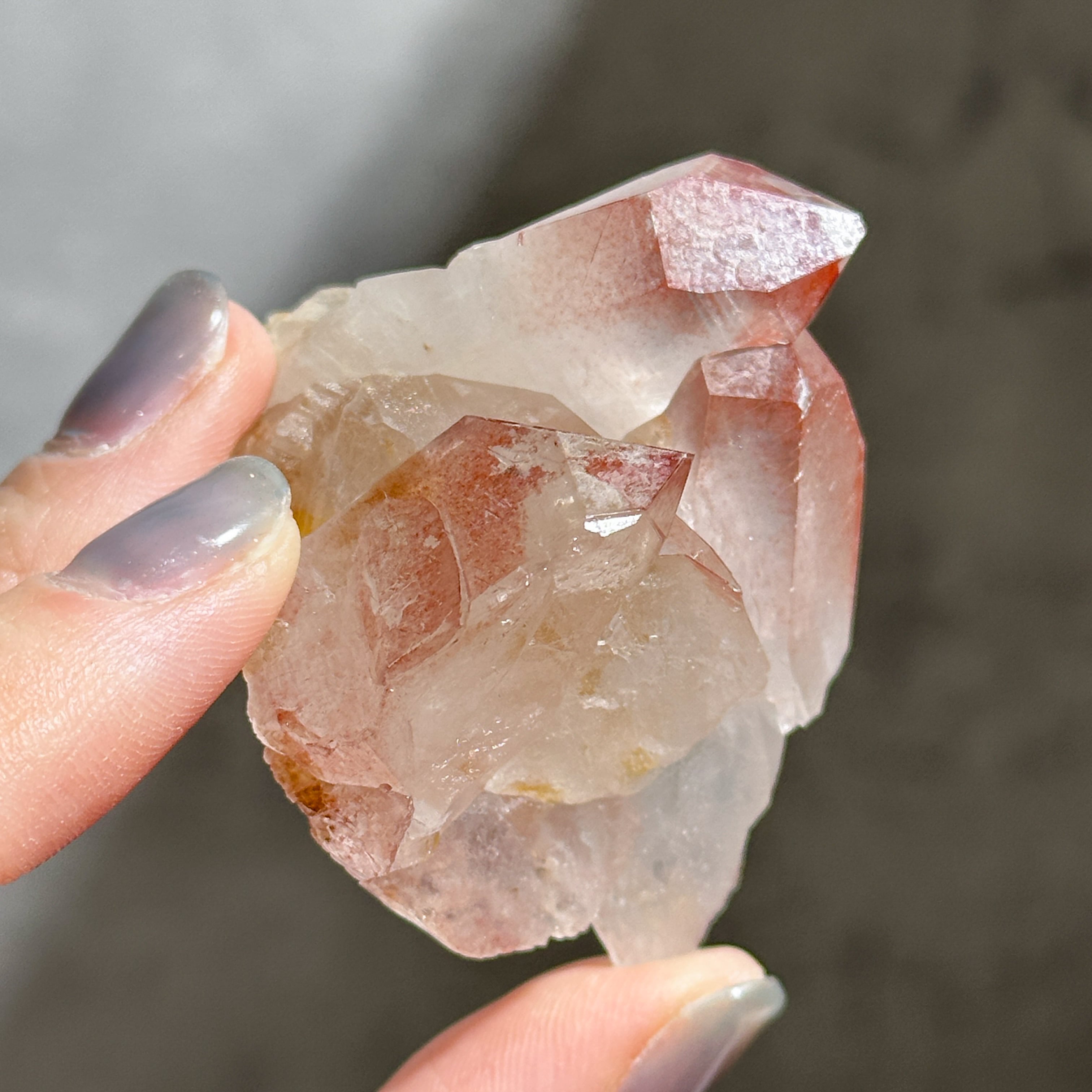 レコードキーパー有り◎ディアマンティーナ産ピンクレムリアン