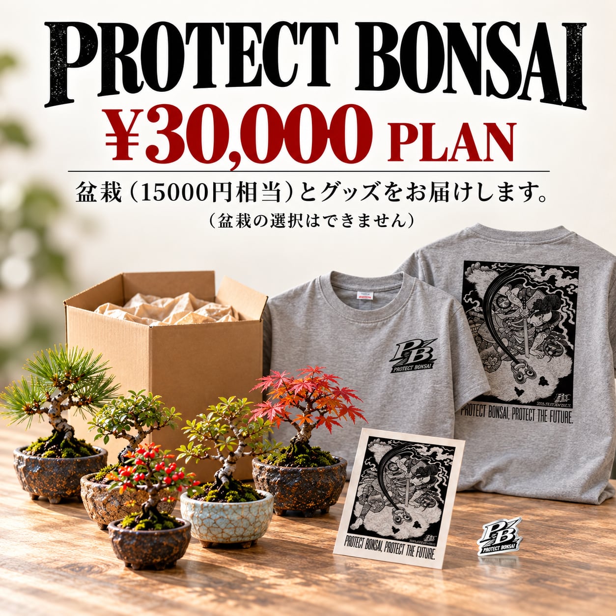 やじま園の盆栽＆PROTECT BONSAI SET｜3万円セットグレー（購入期間10