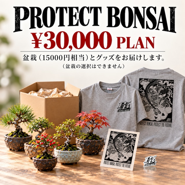 やじま園の盆栽＆PROTECT BONSAI SET｜3万円セットグレー（購入期間10