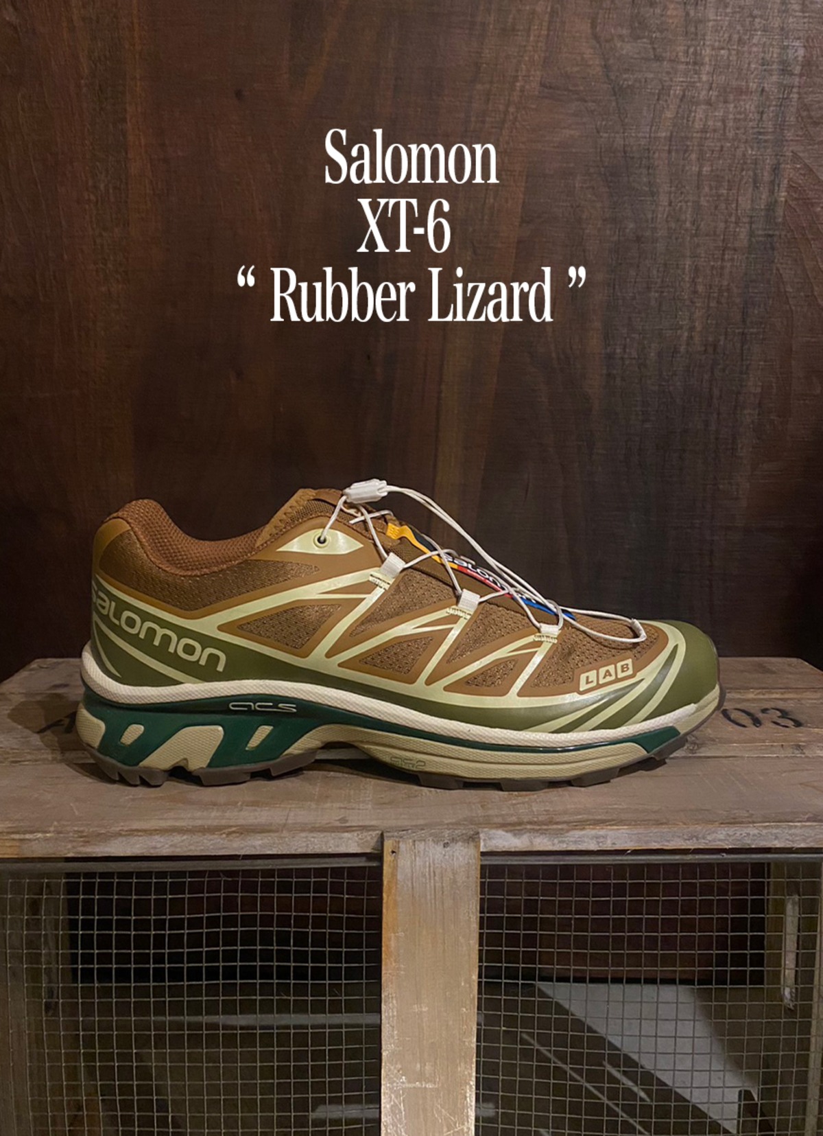 Salomon XT-6 