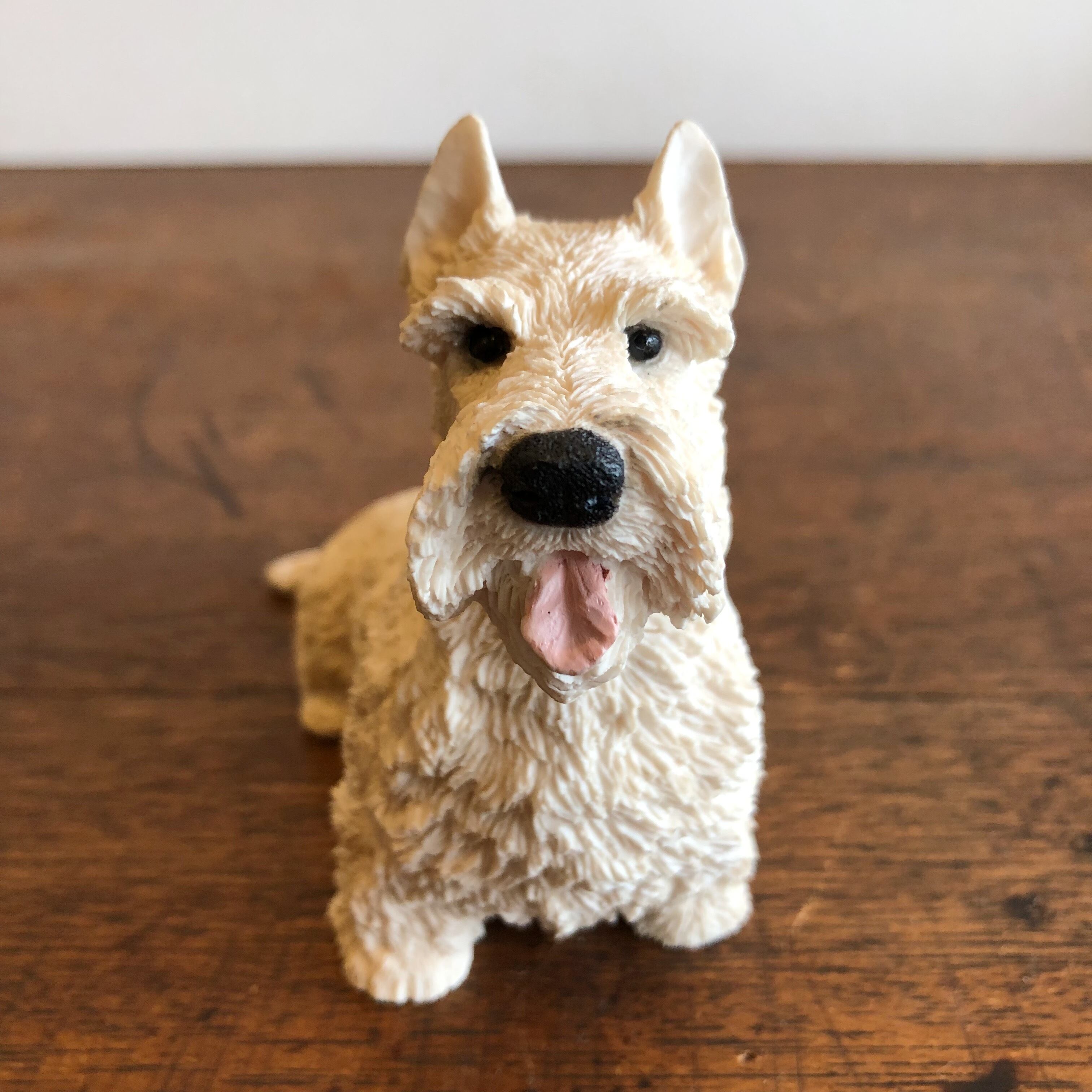 Vintage Castagna（スコティッシュテリア） | POTLATCH