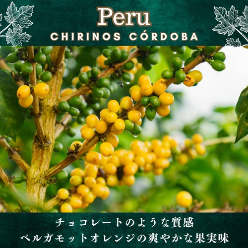 ペルー【 チリノス コルドバ 】100g 画像