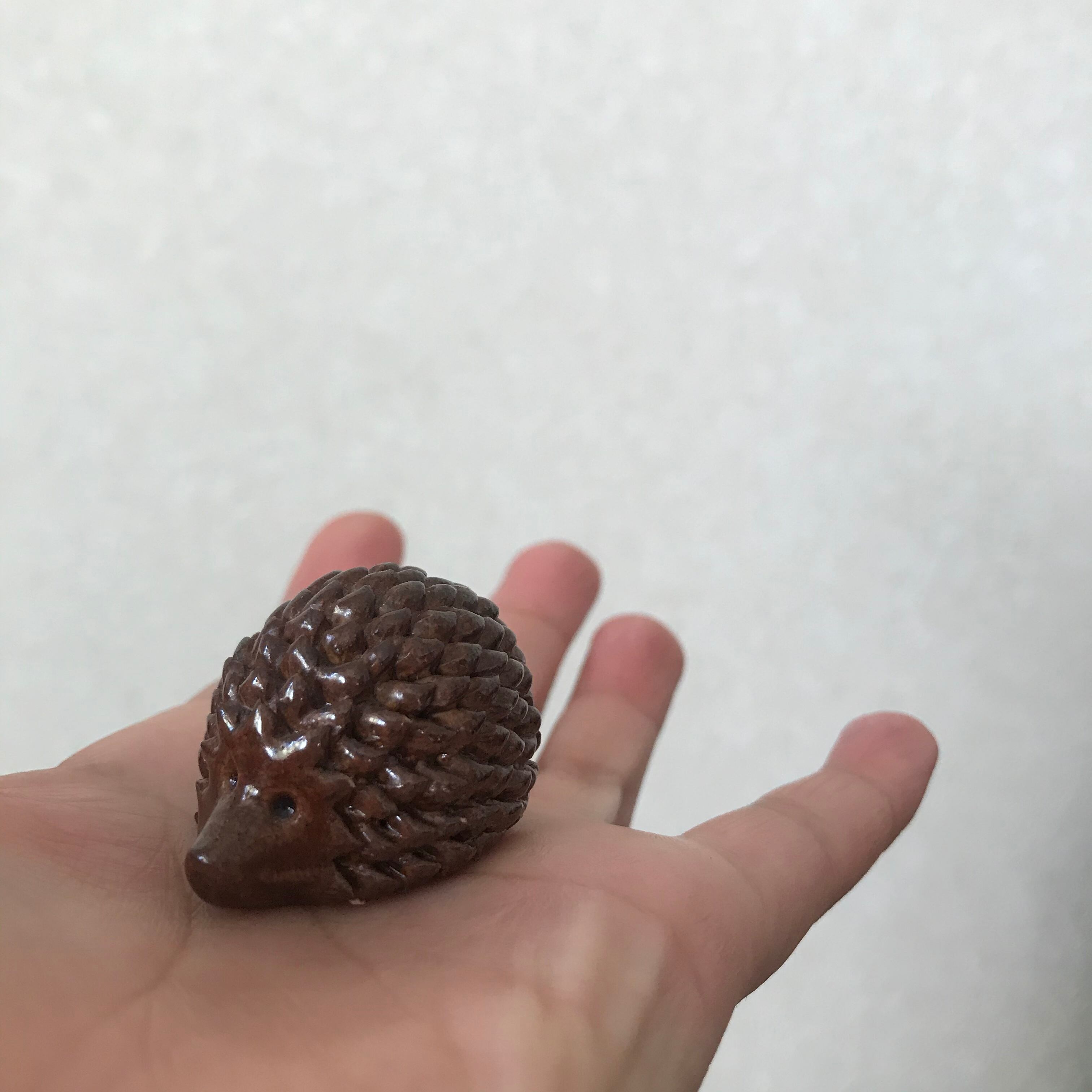 茶色のハリネズミ