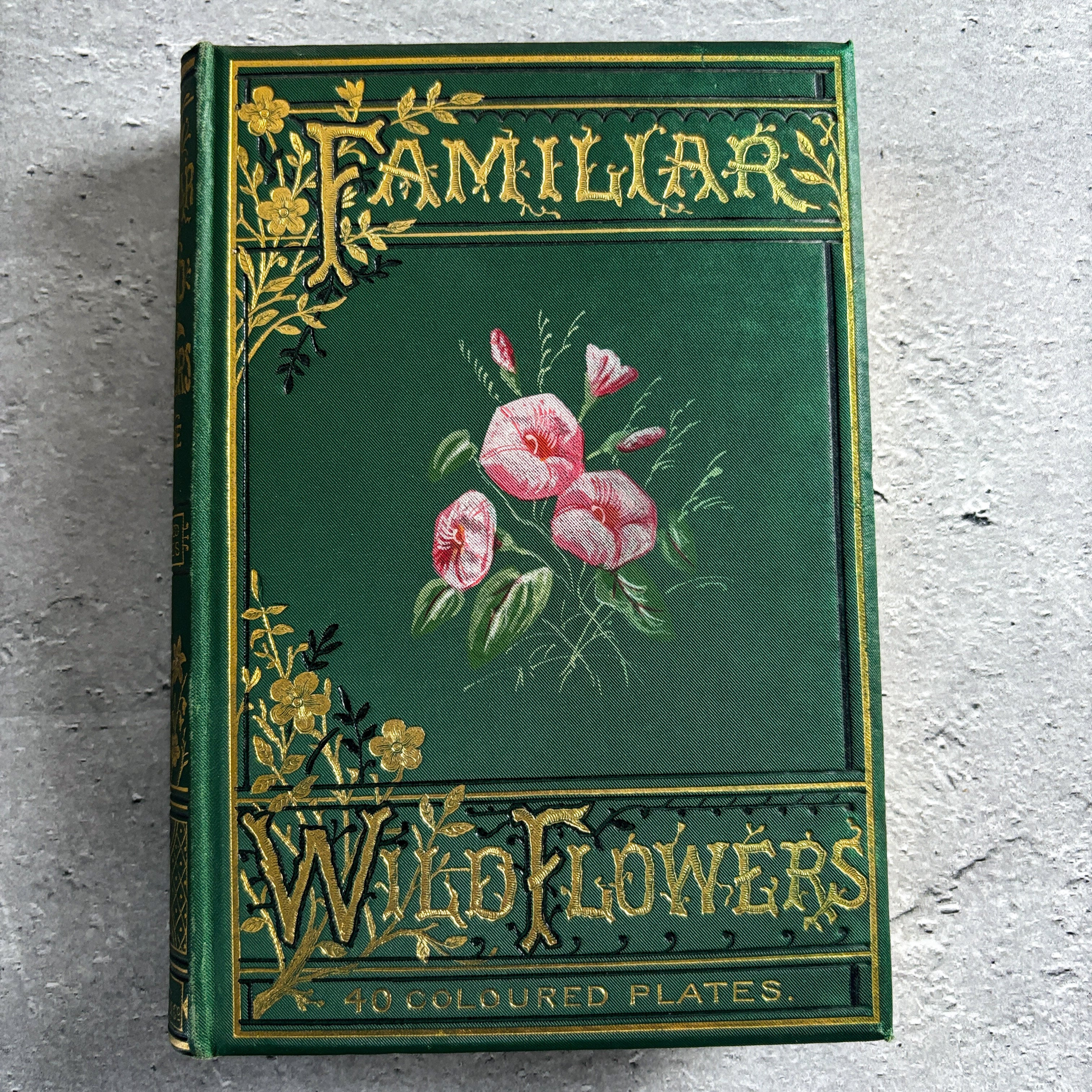 イギリス アンティーク 装丁豪華版 40プレート 植物図鑑 野の花 イギリス アンティーク 装丁豪華版 40プレート 植物図鑑 野の花