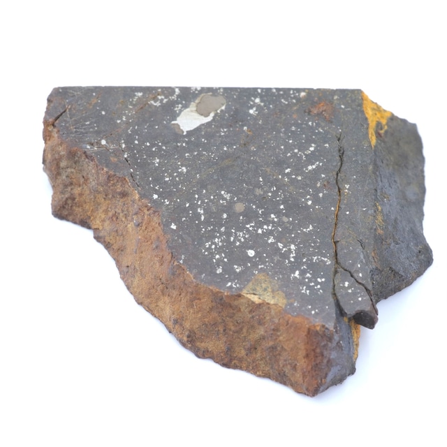 ディミット 隕石 11.0g 普通コンドライト H3.7 石質隕石 原石 標本 Dimmitt M2602