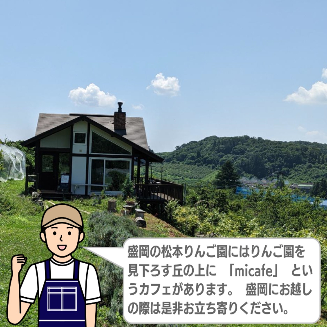 岩手・松本りんご園のストレート果汁100％りんごジュース200g×6個｜産地直送・無添加パウチタイプ - 10