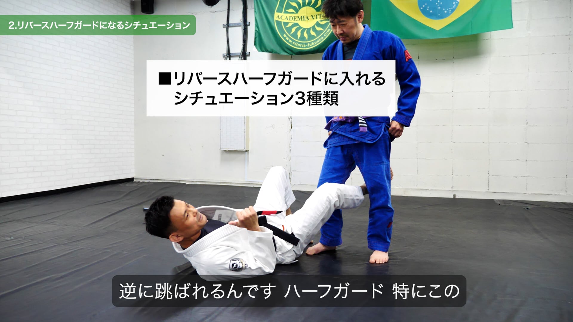 木部亮 TACTICAL REVERSE HALF GUARD 戦術的リバースハーフ 木部亮 TACTICAL REVERSE HALF GUARD 戦術的リバースハーフ