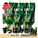 【お取り寄せ・青みかん果汁】すっぱみかん原液　500ml×5本