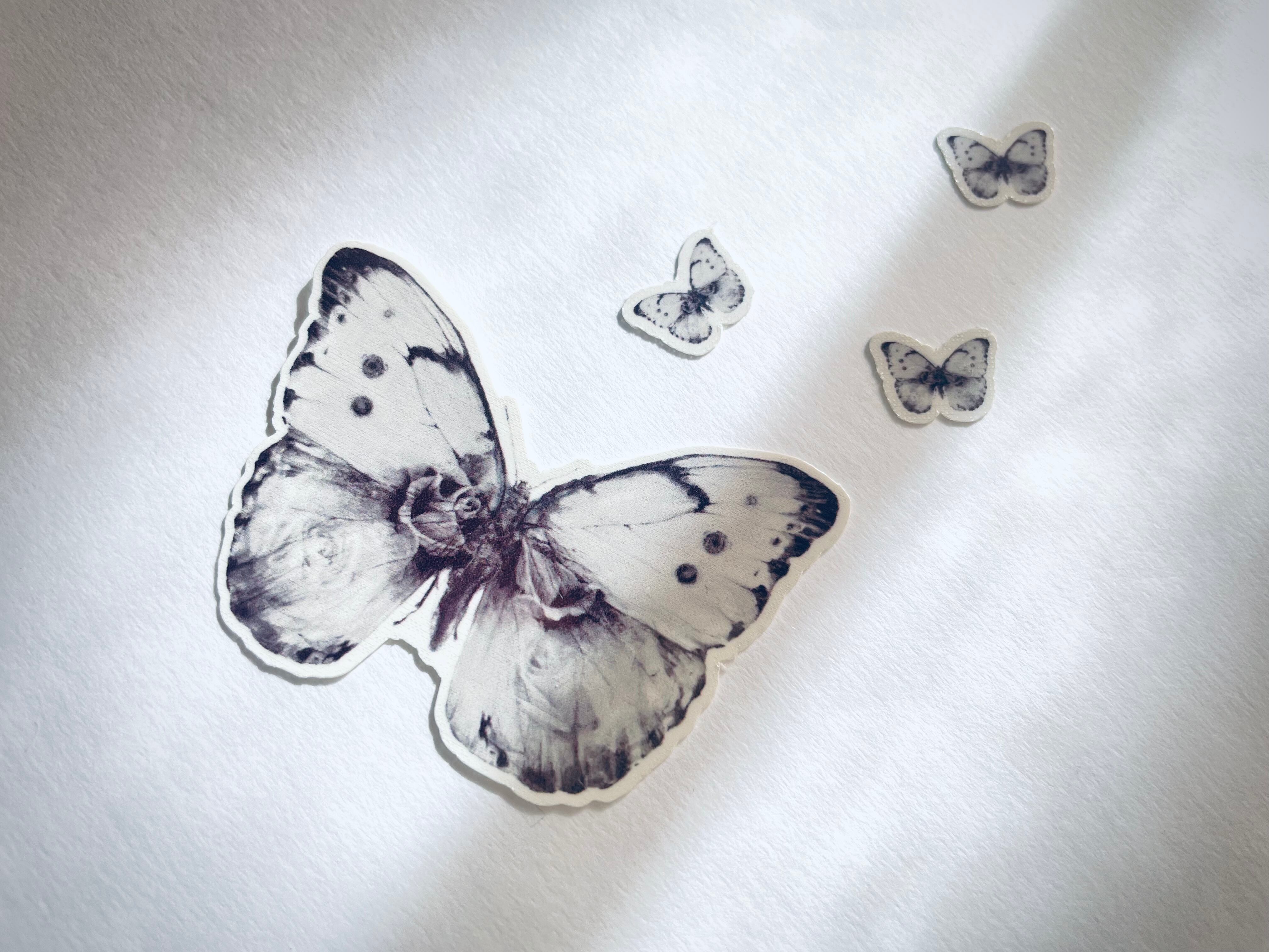 半額 新品 ミニタトゥーシール M185-a 蝶 Butterfly kids-nurie.com