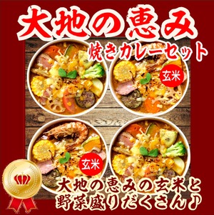 大地の恵み焼きカレーセット(4食入)　5610円→4980円【全額返金保証】