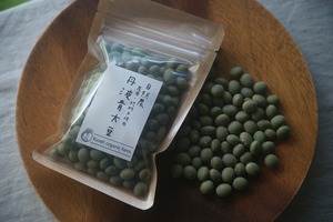 自然農　丹波青大豆　