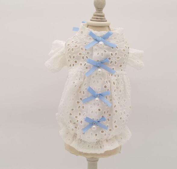 《予約》1102243 ブルーリボンシェードトップス