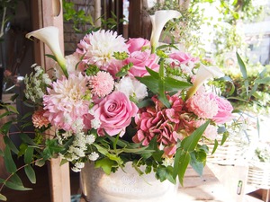 Arrangement－アレンジ＜13,510yen＞