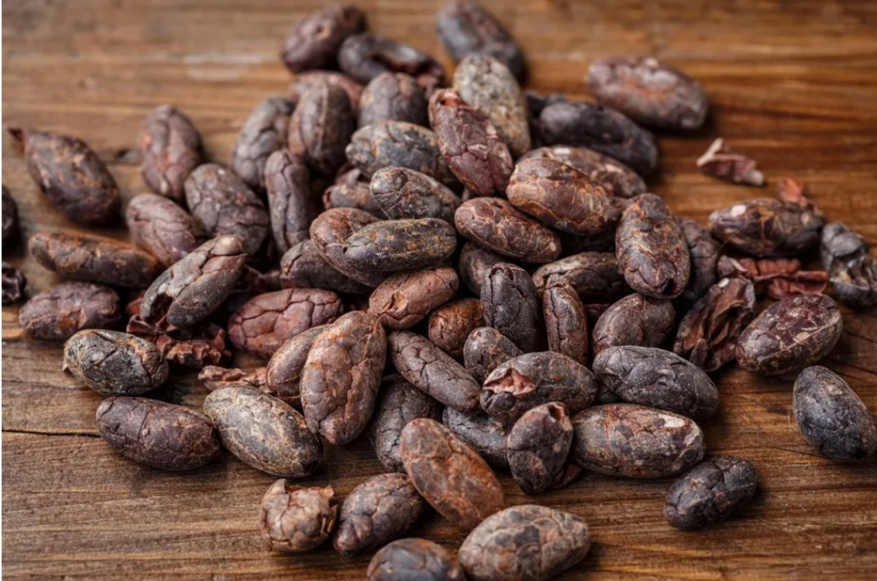 到着日 11月29日(土) ホワイトカカオ 100%クリオロ種 (ビターチョコレート) 抽選申込 画像2