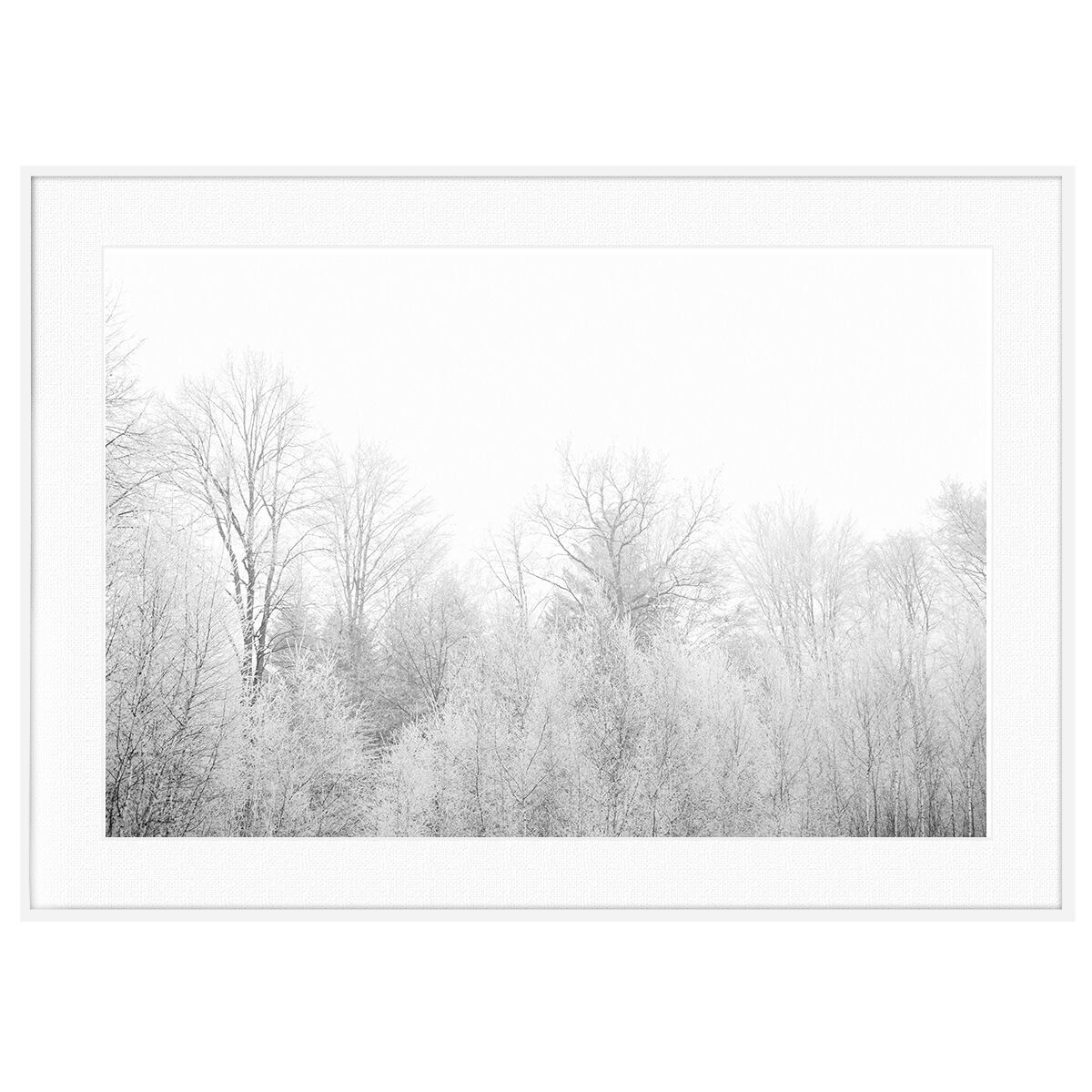 冬写真 インテリア モノクロアートポスター額装 AS0996