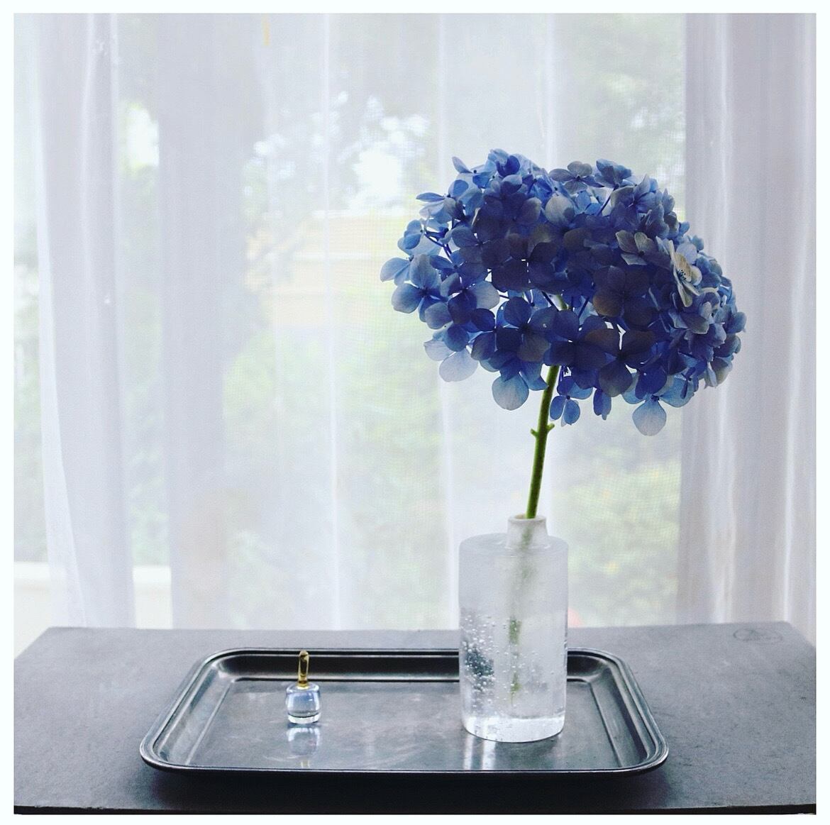 花器 : 北極サイド