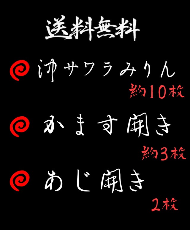 送料無料セット！アジ･カマス･沖サワラ