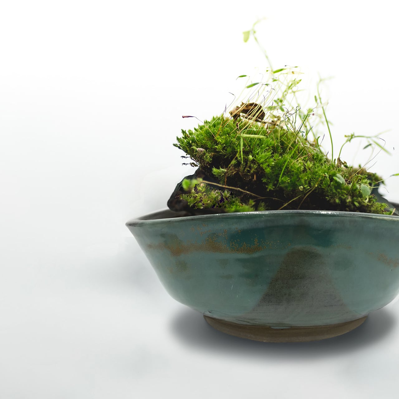 一点もの】小鹿田焼 小袋窯 7寸中鉢 変形型 緑 幅約22cm 花器 陶器 和