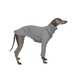 BONDIR Cloudnine Wool Sweater For Dachshund L