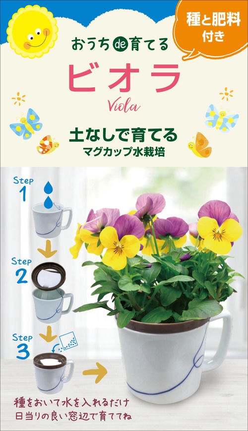 マグカップ水栽培　花シリーズ「ビオラ」　送料込(種有効期限　2025年2月末）