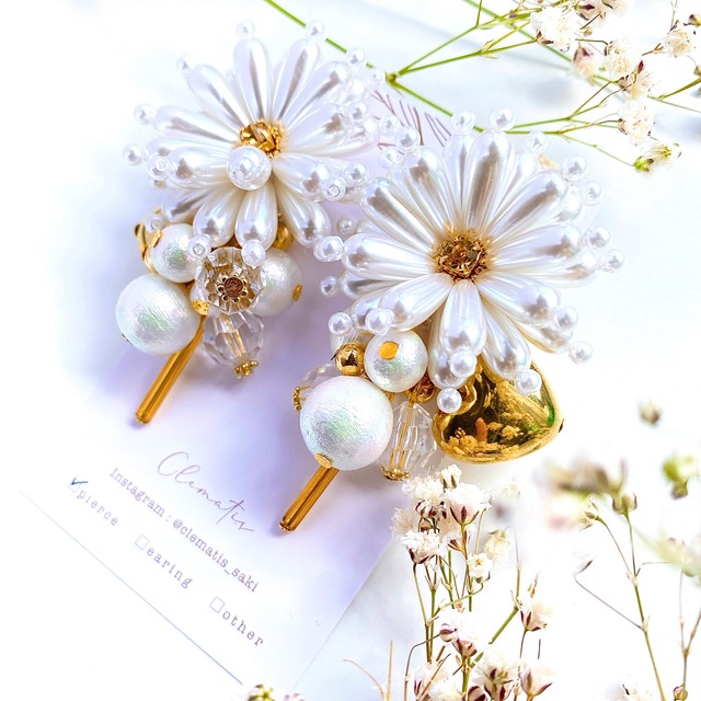 ◇P-11 Dandelion ✳︎