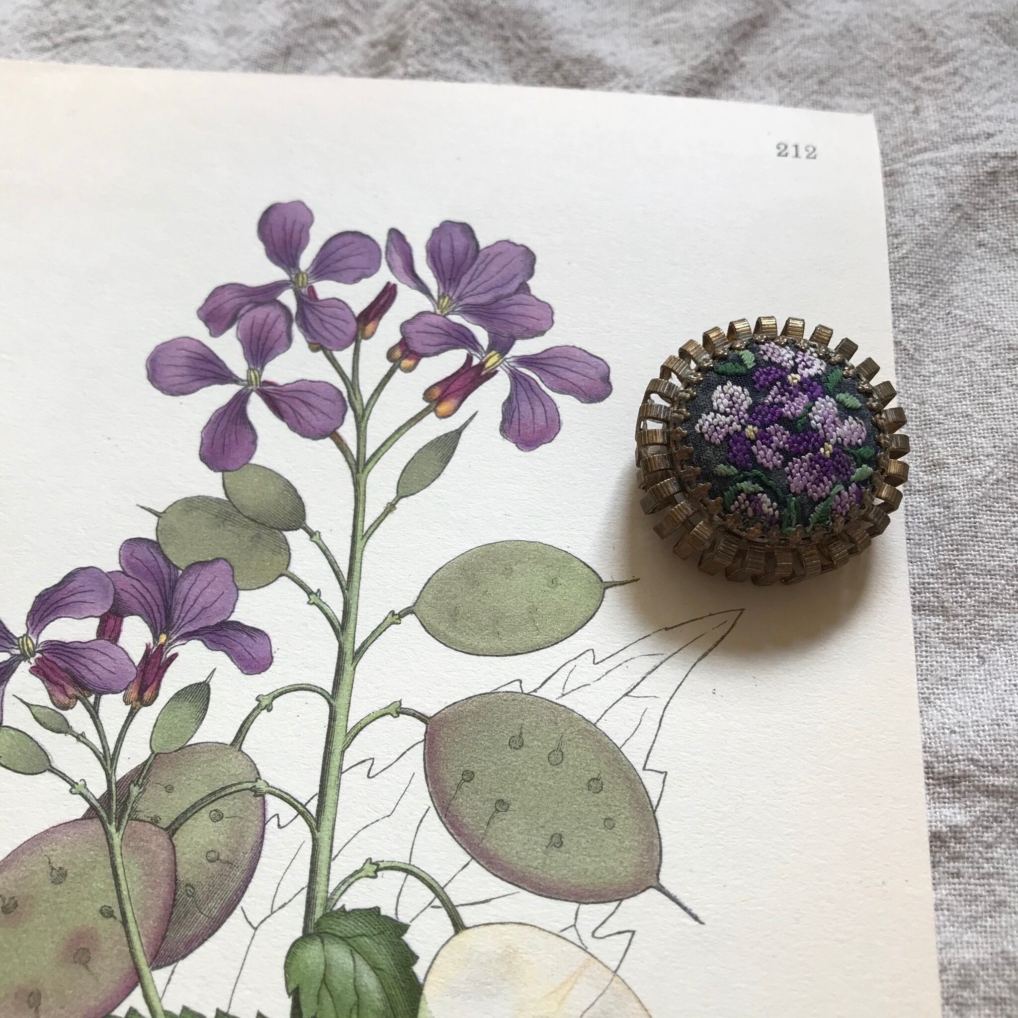 植物の紙とブローチ