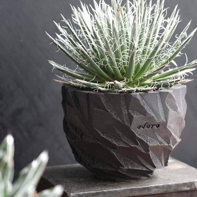 Premium by Odoro Wild Cutting Pot Black M