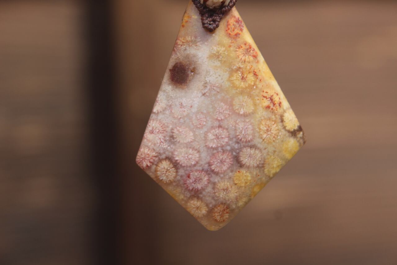 Fossil Coral & Sunstone micro macrame pendant