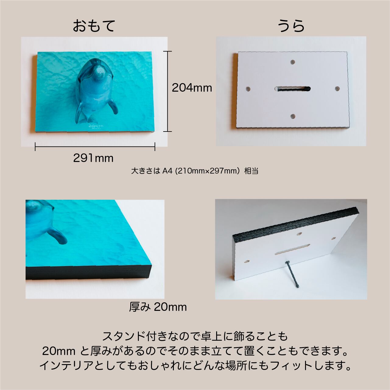 DOLPHIN EYES｜イルカ・クジラの水中写真パネル A4サイズ相当【全54