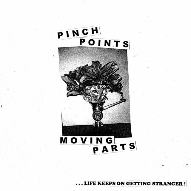 PINCH POINTS / MOVING PARTS（200 Ltd LP）