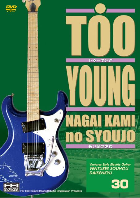 DV158 ベンチャーズ奏法大研究Vol.30 (トゥヤング・長い髪の少女)