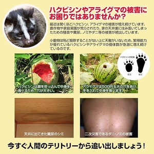 撃退ハクビシン強力タイプ【屋外用】100個入 忌避剤をさらに２倍に増量した激臭シート