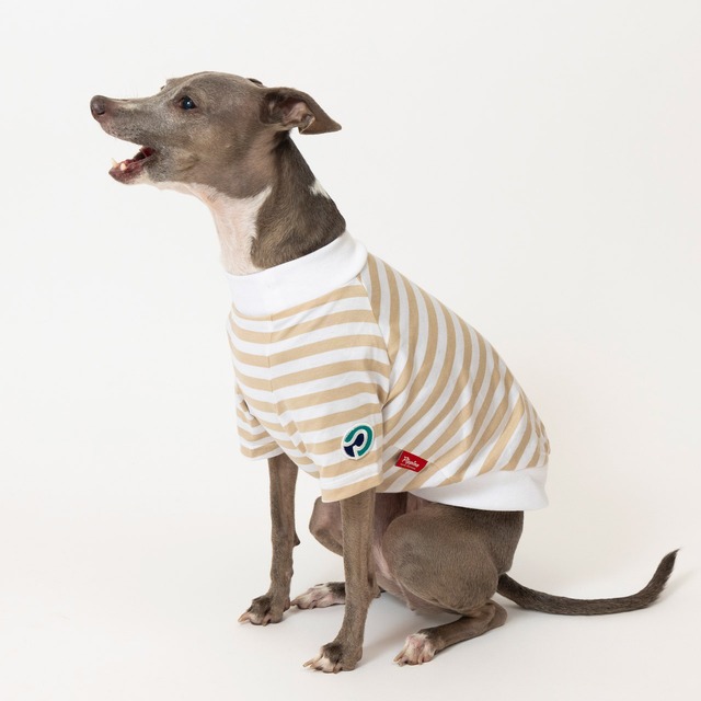 ボーダーTシャツ　beige / イタグレ服