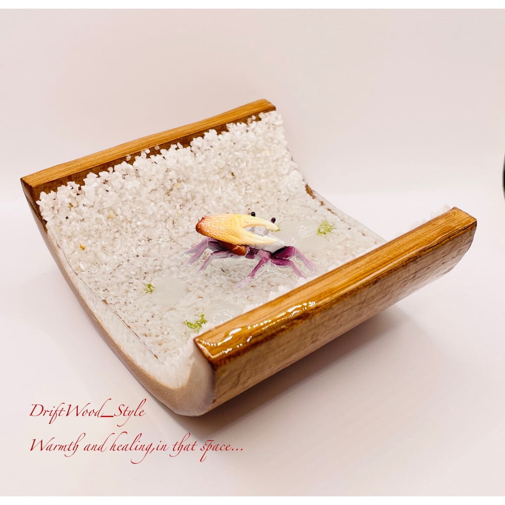 海の世界を閉じ込めた流木アート 浅瀬を歩くシオマネキ カニ 水中