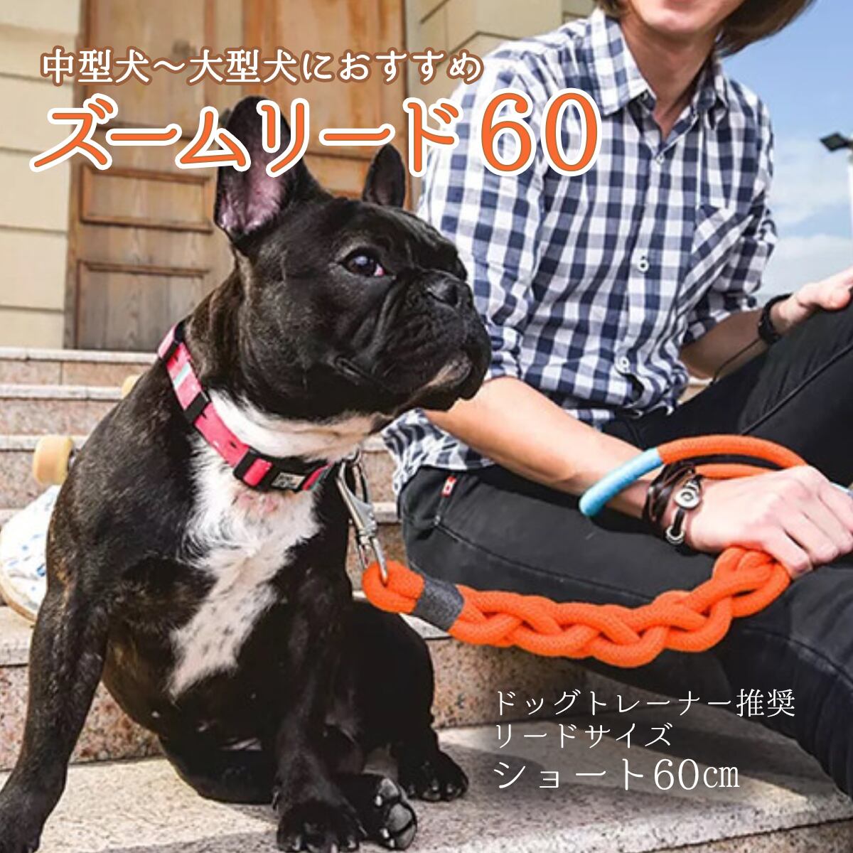 Leash 中 大型犬ズームリード60 60 ショート ロープリード 犬 アウトドア店 ロッコウウルフ Rokkowolf