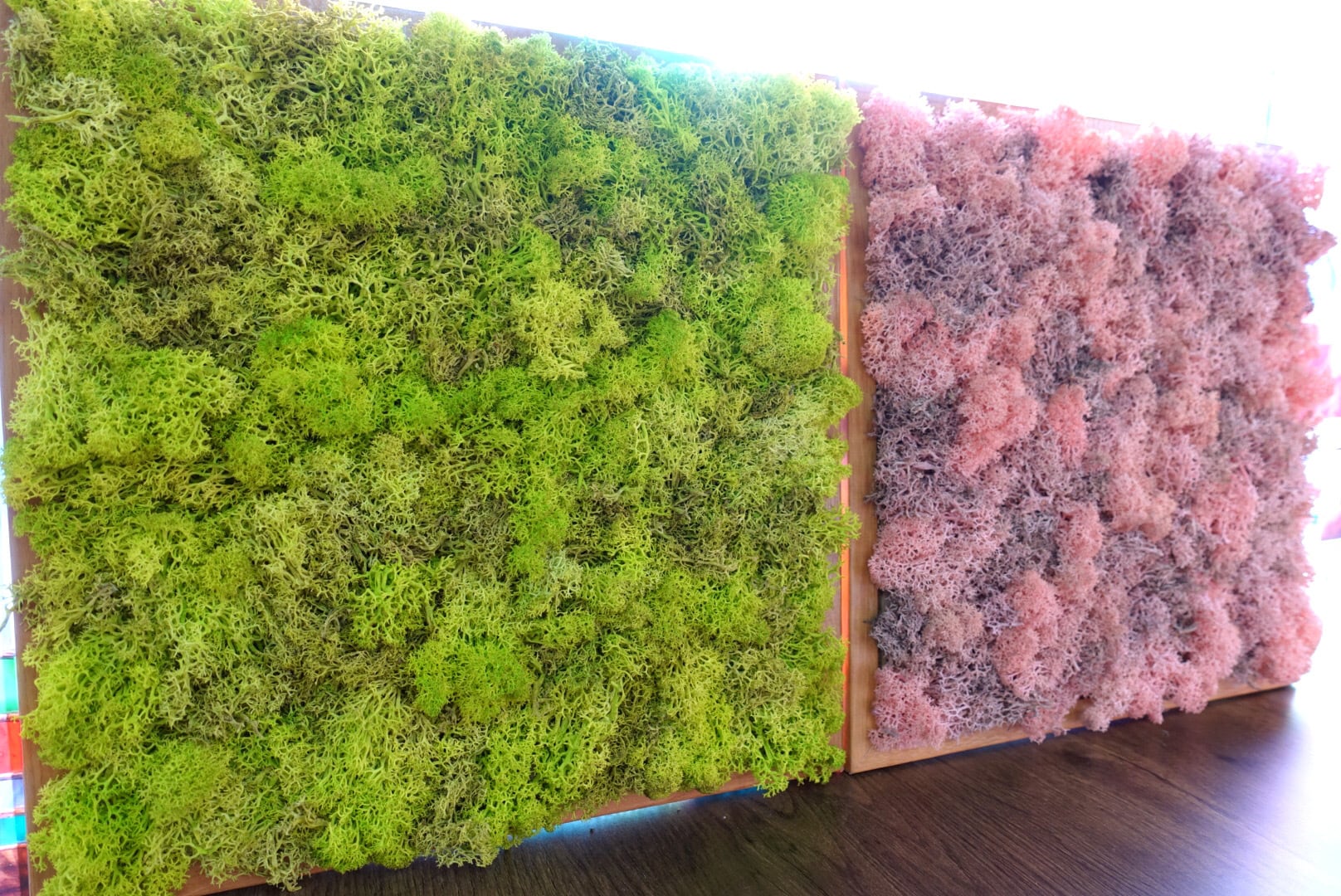 ウォールグリーン スカンディアモス スクエアパネル（ピンク） 壁掛け