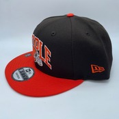 NEW ERA 9FIFTY/950　STAPLE コラボ　NFL　クーリーブランド・ブラウンズ　海外入荷