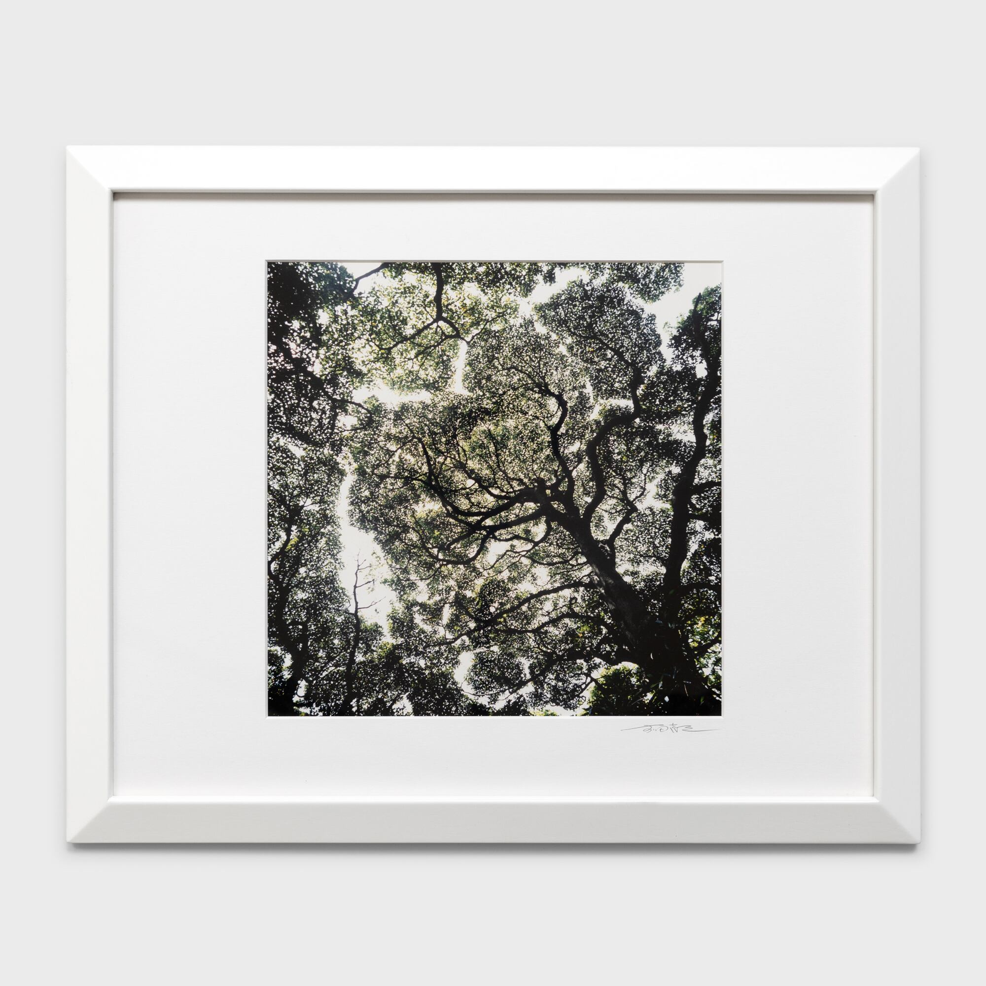 前田真三額装写真「花鳥山水・四季絵模様」白木額〈展示品／直筆サイン