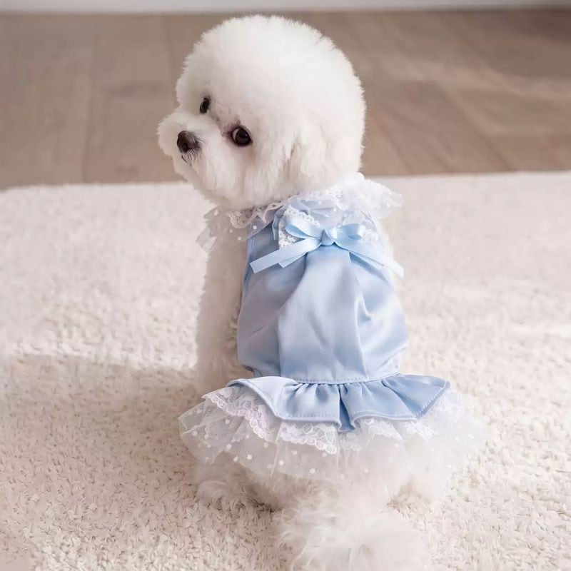 ブルー&ホワイトレースのワンピース 犬服 01283
