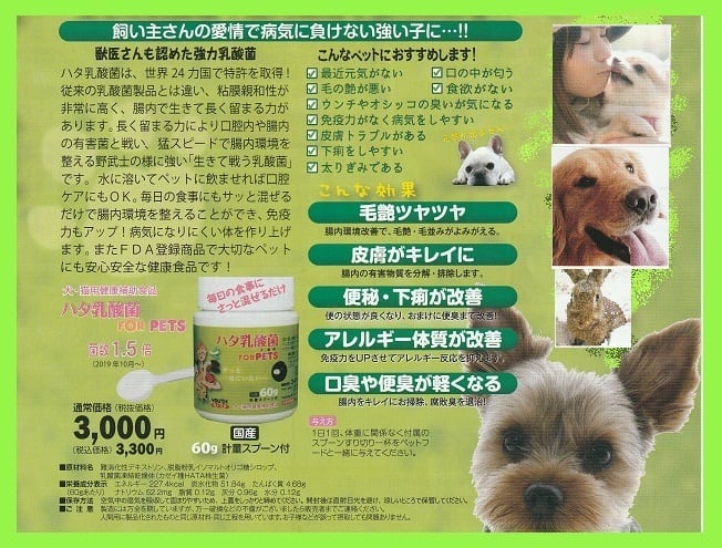 ハタ乳酸菌 FOR PET(60g) ペット用乳酸菌サプリメント（計量スプーン付 ...