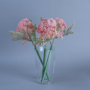 お花だってボールペン-アキレア-