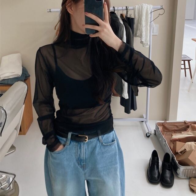 【予約販売】 カットソー シアー 透け感 ハイネック 長袖 袖シャーリング トップス レディース ライトグレー パープル ブラック フェミニン レイヤード こなれ感 大人可愛い シンプル おしゃれ 韓国 旅行 バカンス 春 夏 デート トレンド フリー