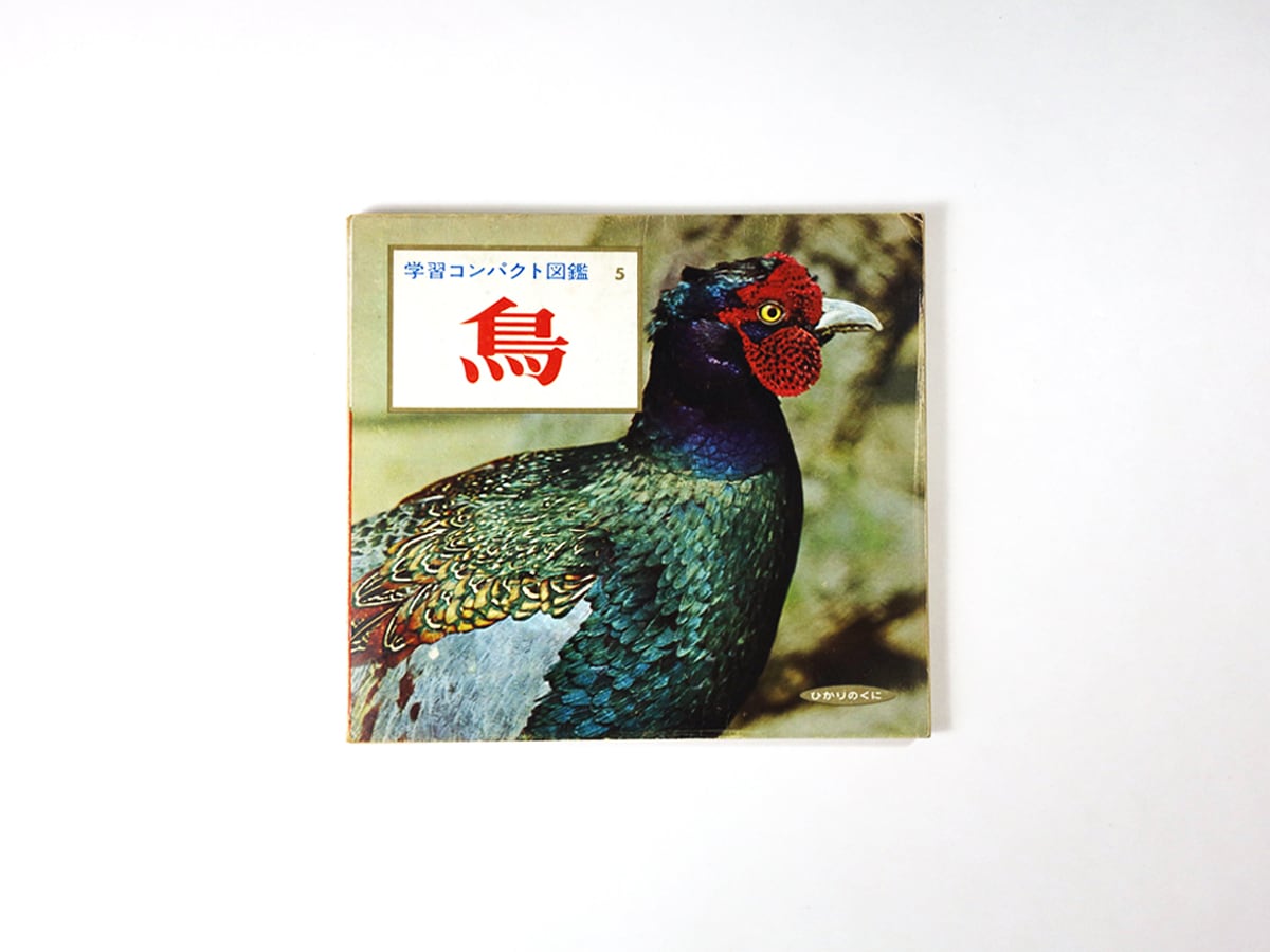 旺文社学習図鑑 鳥（5）昭和レトロ図鑑（外カバー付き） 鳥（真下弘 著） - 学習コンパクト図鑑5 | bookstore ナルダ
