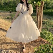 Plus Size Princess Chiffon Long Dress 5140